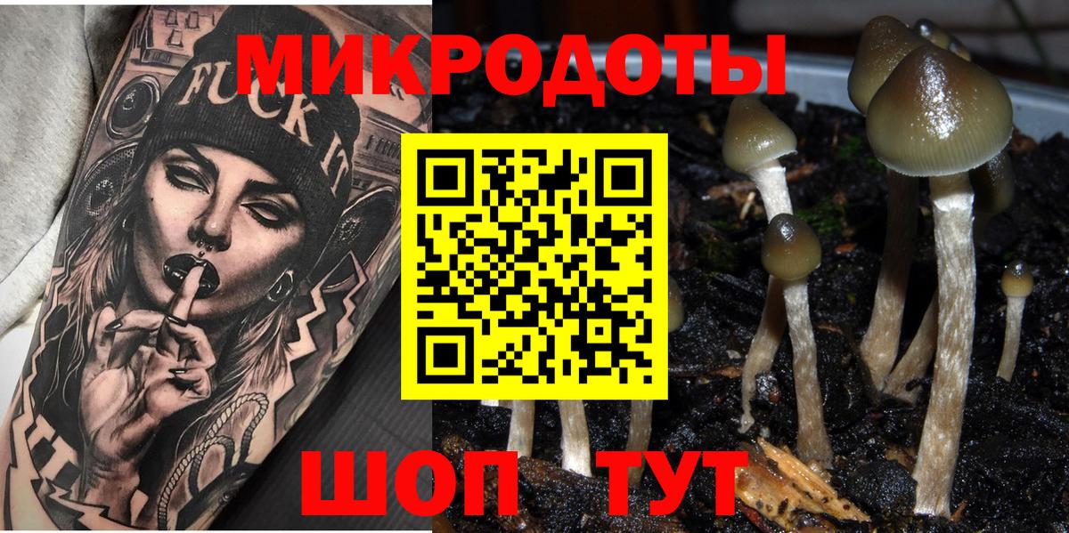 Галлюциногенные грибы Magic Shrooms Мытищи